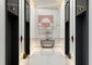 Çin Yolcu Asansörleri Fabrikası için 6 Kişi ile FUJI Yolcu Asansör Asansörü