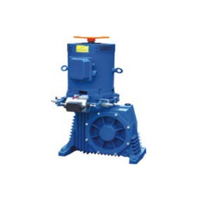 AC220V Frenli Yürüyen Merdiven Tahriki E-Drive Momentum ve GlideStream Tahriki