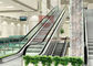 1000mm Subway 2 Cascade 0.5m Alışveriş Merkezi Yürüyen Merdiven Vidalı Tip Asansör