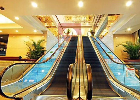 1000mm Subway 2 Cascade 0.5m Alışveriş Merkezi Yürüyen Merdiven Vidalı Tip Asansör