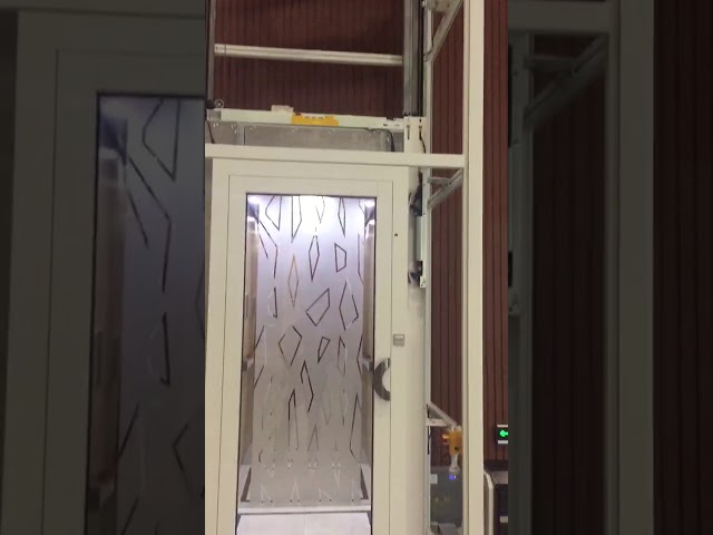 Ev Kullanımı Üç Katlı Hidrolik Engelli Asansör Konut Evi Elektrikli Küçük Ev Asansör Asansör