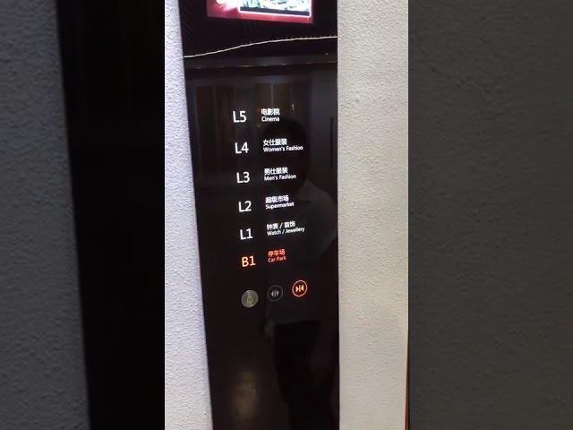 Makine Daireli Vvvf Kontrol PVC Döşeme Panoramik Asansör