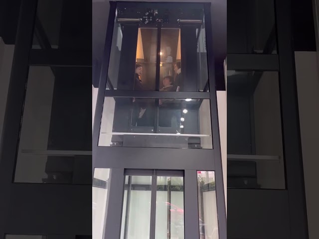 400kg SUS304 Hidrolik Lüks Modern Pitless Konut Ev Asansörü