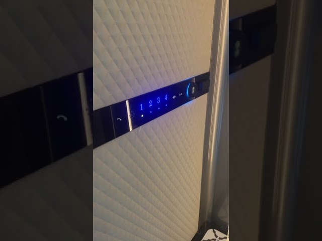 Paslanmaz Çelik Saç Çizgisi / Boyalı 1600kg Yolcu Makinesi Dairesiz Asansör